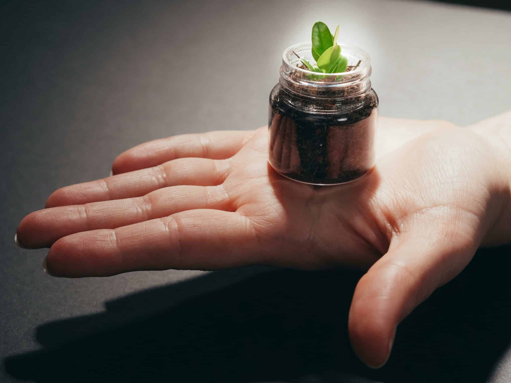 Faire un bilan carbone RSE : la checklist Hector pour une entreprise plus responsable